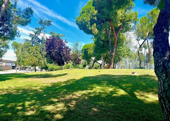 Albergue Cierre Definitivo Madrid
